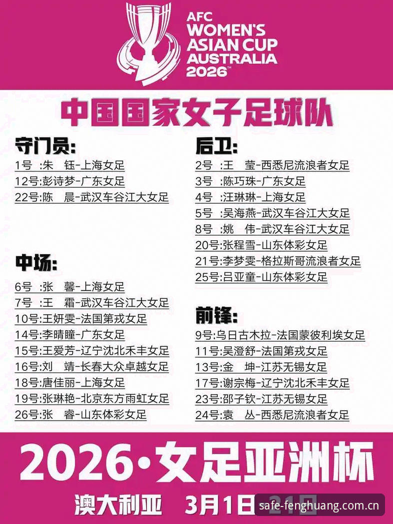 世界杯观赛受阻实用应对指南：从签证困局看赛事体验新选择