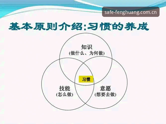 凤凰体育入口高效使用实用技巧，从下载到安装的必备知识